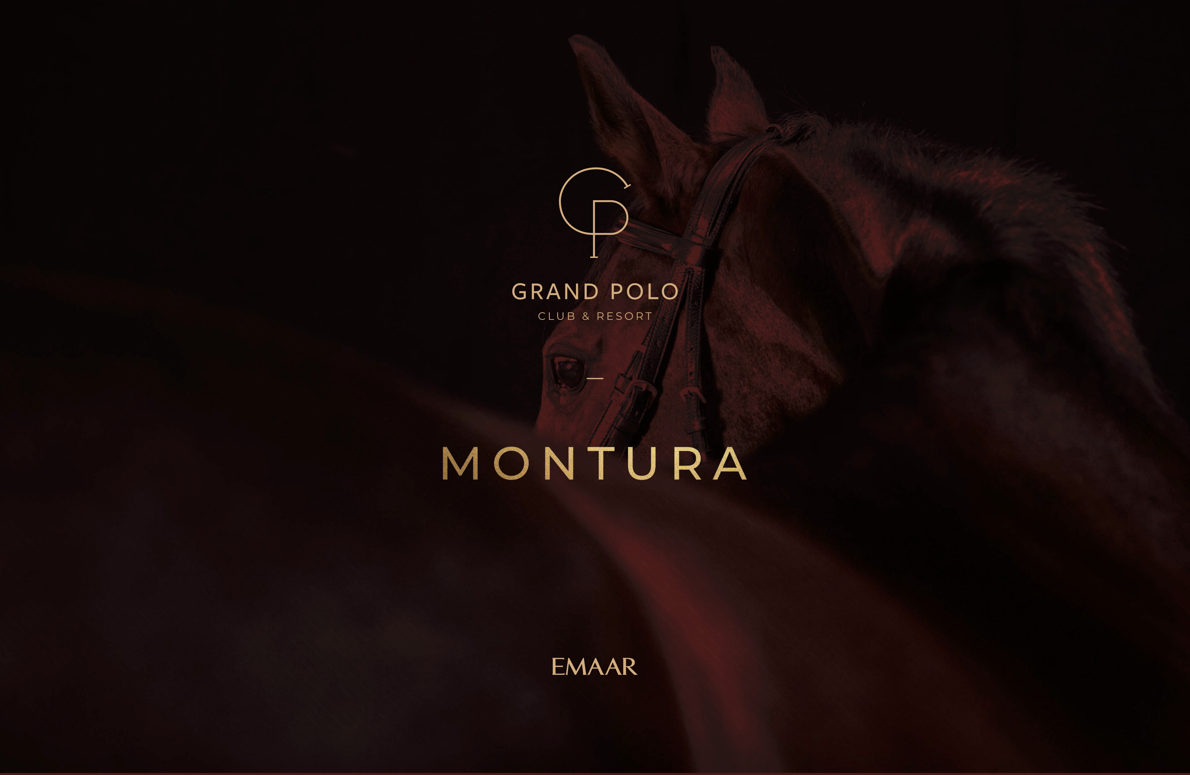 Montura 2 at Grand Polo - Overview